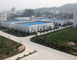 Cina Godson Technology Co., Ltd