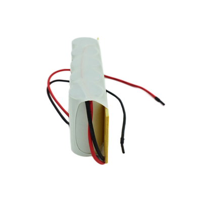 Baterai Lampu Keluar Darurat 2500mah Isi Ulang 6.0V 0.1C Charge