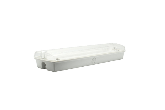 8W Emergency Ip65 Bulkhead Light 6500K 150Lm Pemasangan Dinding